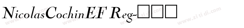 NicolasCochinEF Reg字体转换